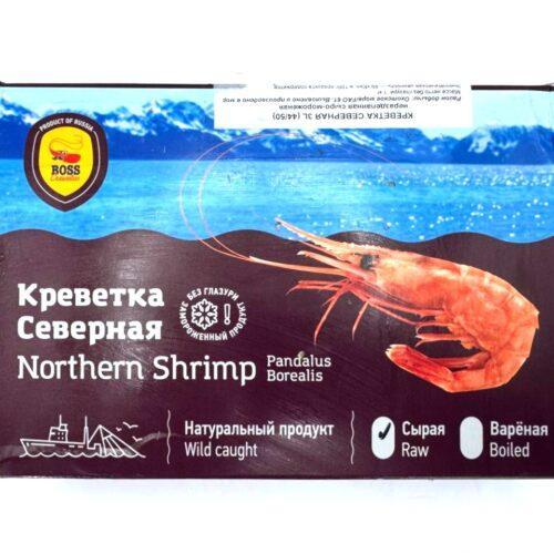 5344045257874077539 (1) (1)