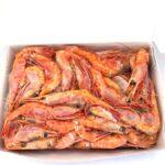 5344045257874077539 (1) (1)