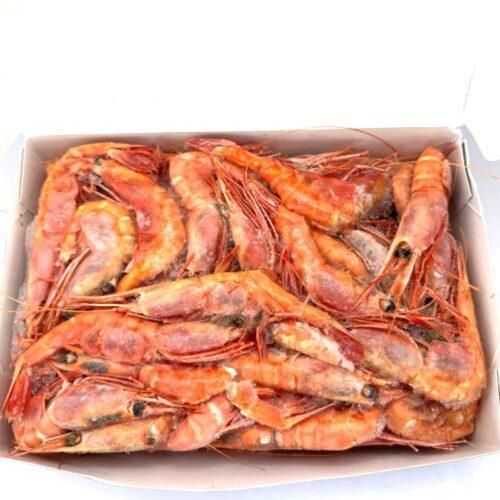 5344045257874077540 (1) (1)